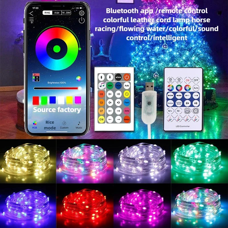 RGB Bluetooth LED String Lights